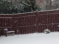 55980RoCrLe - Falling snow in the back yard.jpg